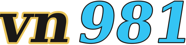 vn981 logo